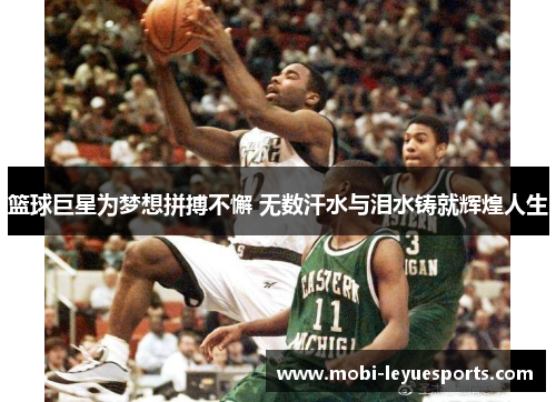 篮球巨星为梦想拼搏不懈 无数汗水与泪水铸就辉煌人生