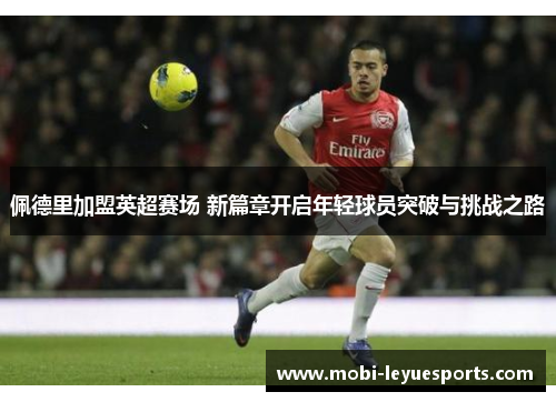 佩德里加盟英超赛场 新篇章开启年轻球员突破与挑战之路