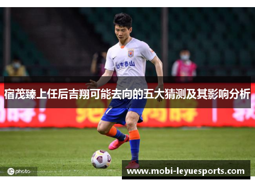 宿茂臻上任后吉翔可能去向的五大猜测及其影响分析