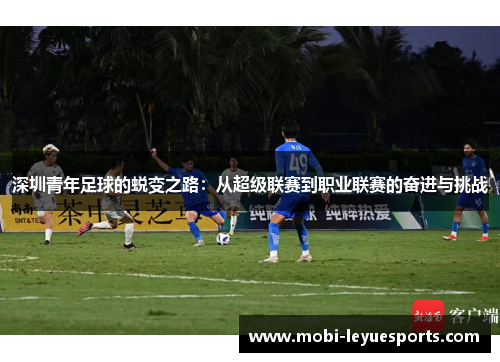 深圳青年足球的蜕变之路：从超级联赛到职业联赛的奋进与挑战