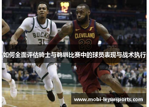 如何全面评估骑士与鹈鹕比赛中的球员表现与战术执行