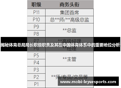 揭秘体育总局局长职级职责及其在中国体育体系中的重要地位分析