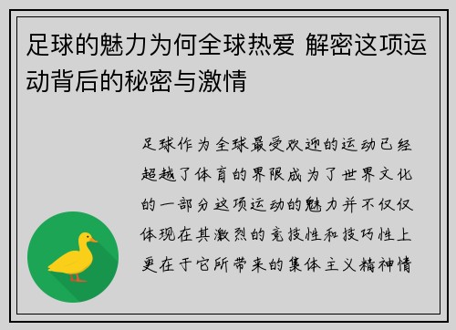 足球的魅力为何全球热爱 解密这项运动背后的秘密与激情
